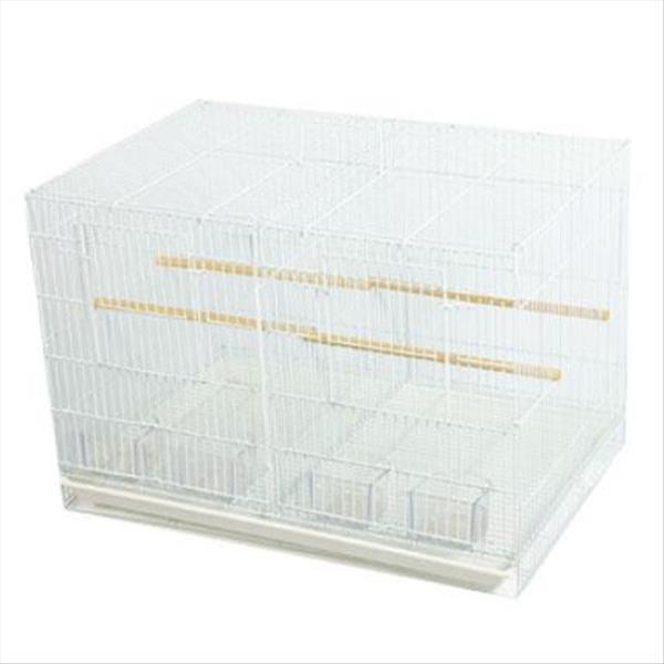 b4dbba19-7477-ef11-8cfd-cea9d976a6bb