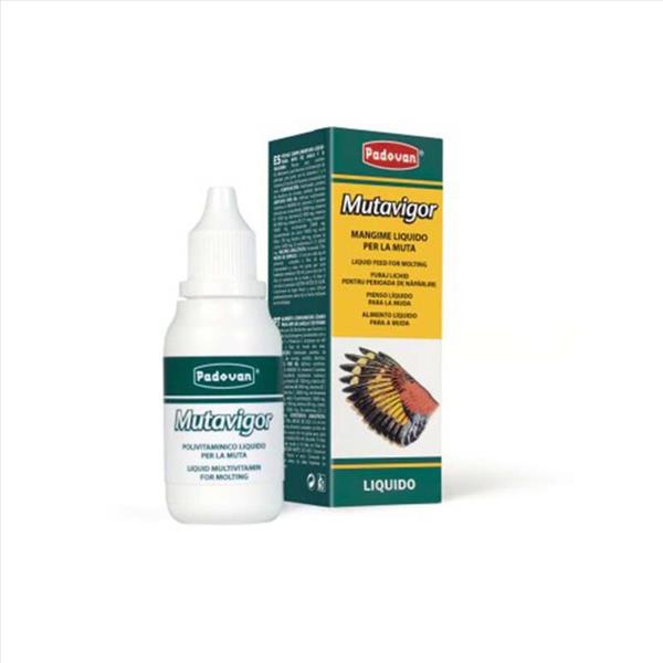 b4f00f8e-14db-ee11-94a0-9ca2f4d6356b