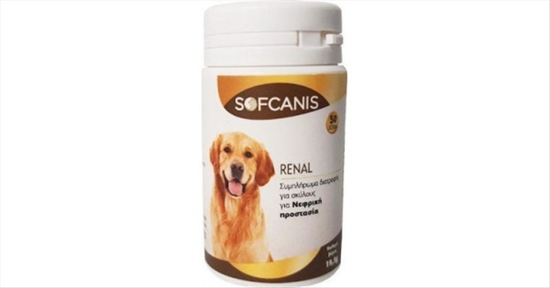 b5f08a03-c424-f011-8d1a-bedd89906a57