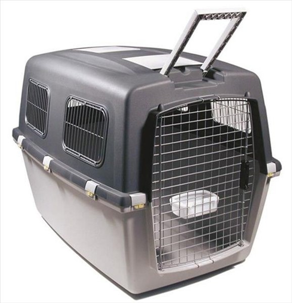 b62a6772-fa1c-f011-8d19-cb3156cf5538