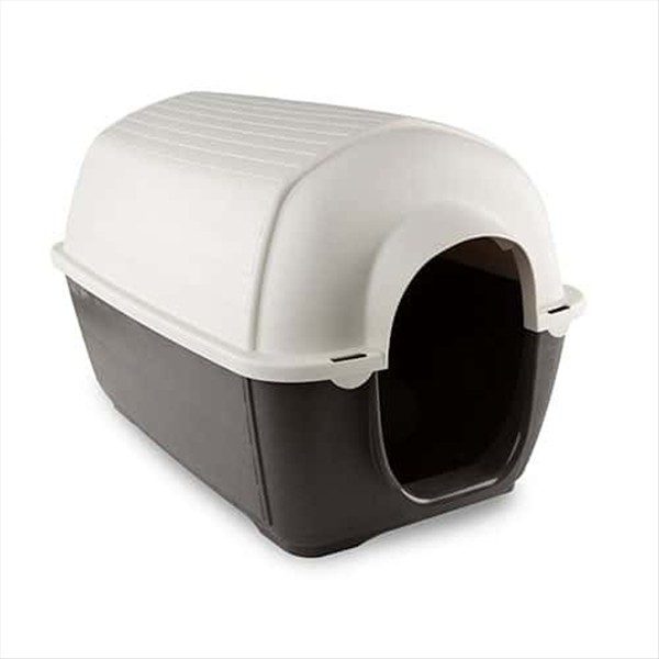 b6a6d202-fc1c-f011-8d19-cb3156cf5538