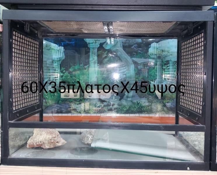 ba82d0bc-b875-ef11-8cfd-cea9d976a6bb