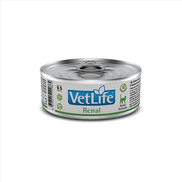 bd83a9ea-221c-ef11-815c-9ca2f4d6356b