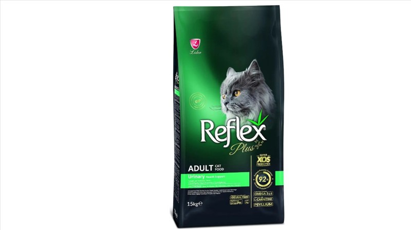 be93cc55-3527-f011-8d1a-bedd89906a57