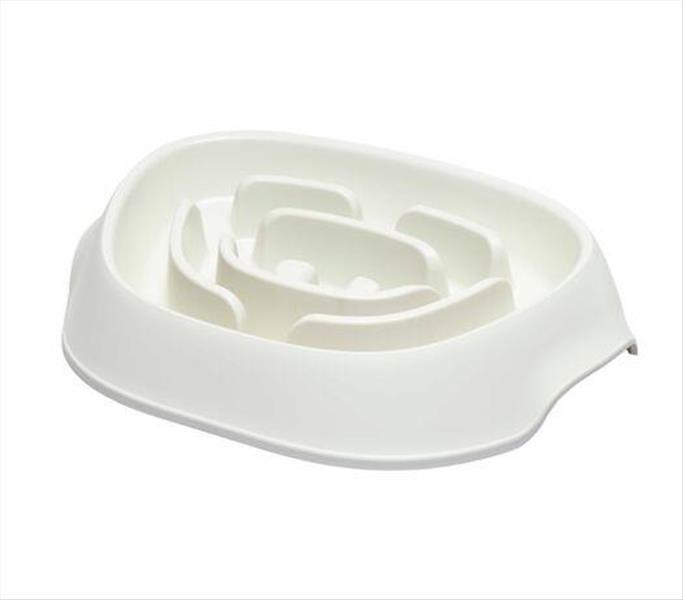 c2727b03-3911-ef11-a081-9ca2f4d6356b