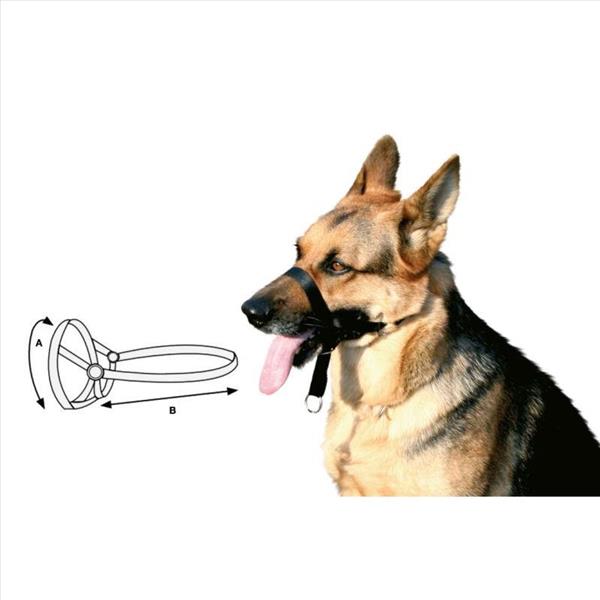 ceee8e8b-a034-ef11-9bcb-9ca2f4d6356b