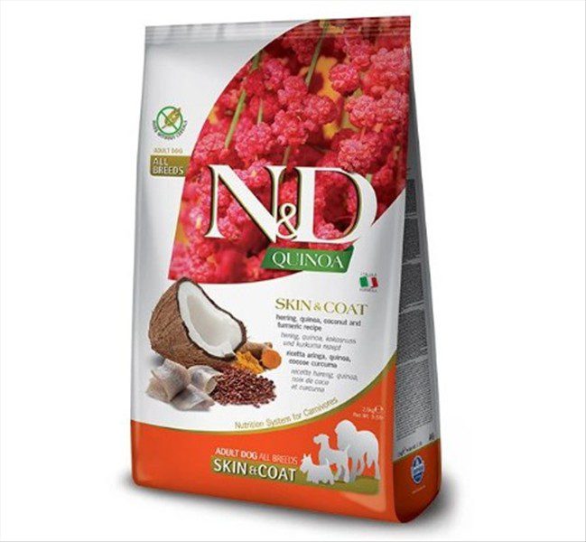 d18e1eea-d636-f011-8d1b-dc612b956868