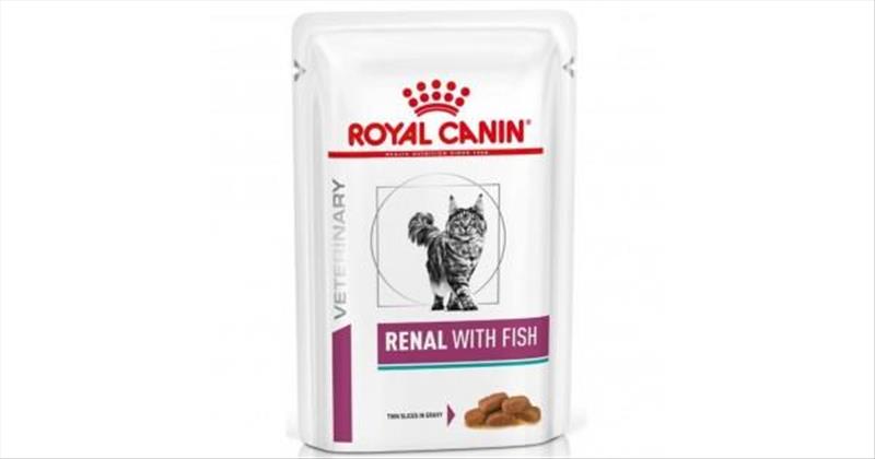 d2605bb2-f42b-f011-80dd-9ca2f4d6356b