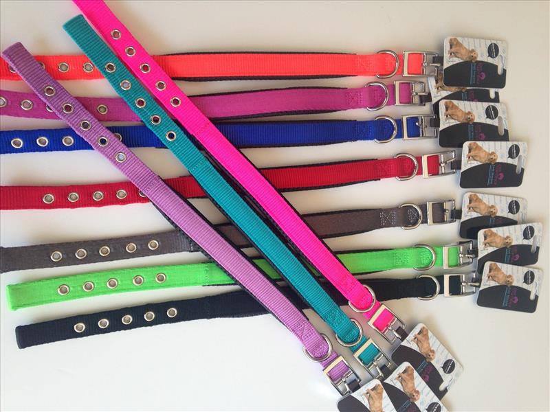 d31a6629-c5e5-ee11-8808-9ca2f4d6356b