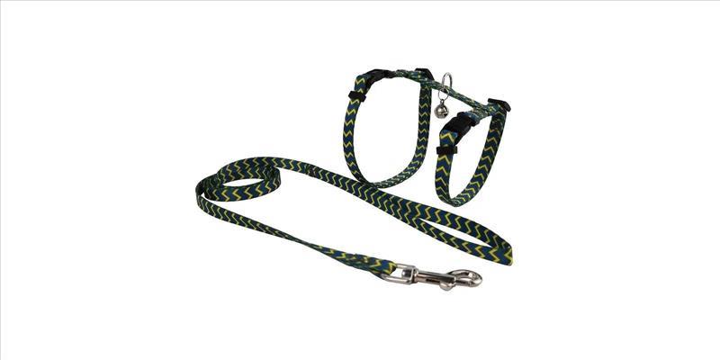 d638d070-dccf-ee11-9c0b-9ca2f4d6356b