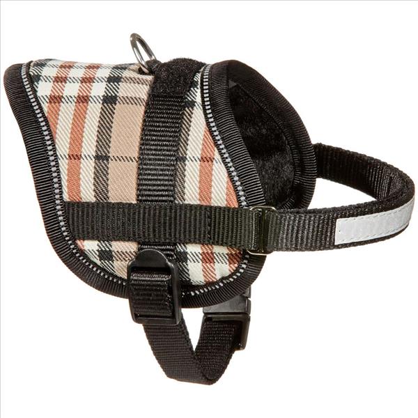 d6ecc2aa-2a9d-ef11-8d01-fc3c6383974b