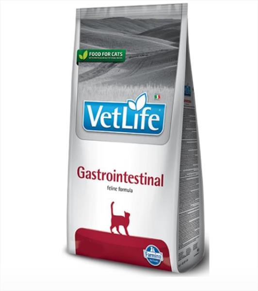 d7e1c06a-fc2b-f011-80dd-9ca2f4d6356b