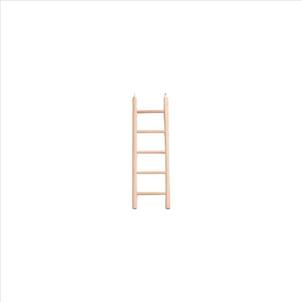 d8cdd9a0-1621-f011-876a-9ca2f4d6356b