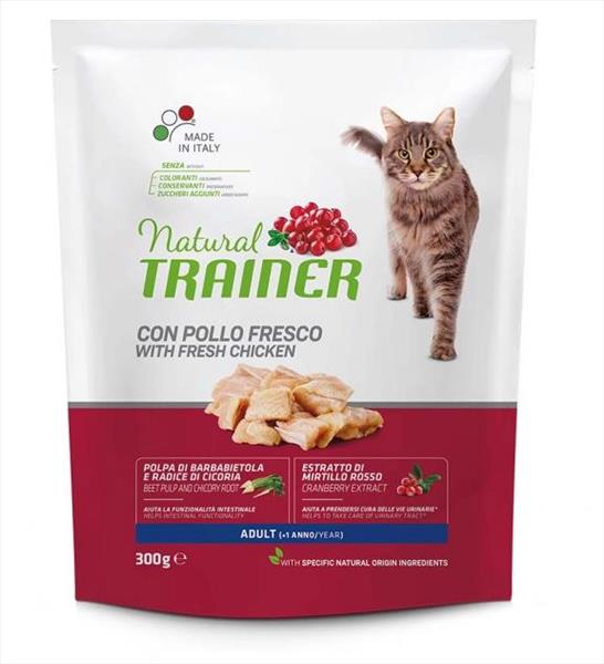 dacfbf8d-11f4-ef11-8d79-9ca2f4d6356b