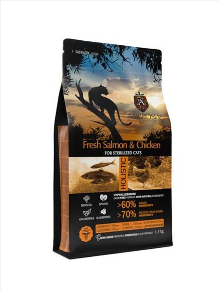 de49d150-09cc-ee11-8f4b-9ca2f4d6356b