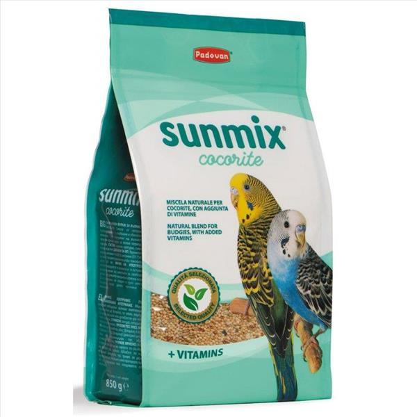 e11548f1-d524-f011-a0ca-9ca2f4d6356b