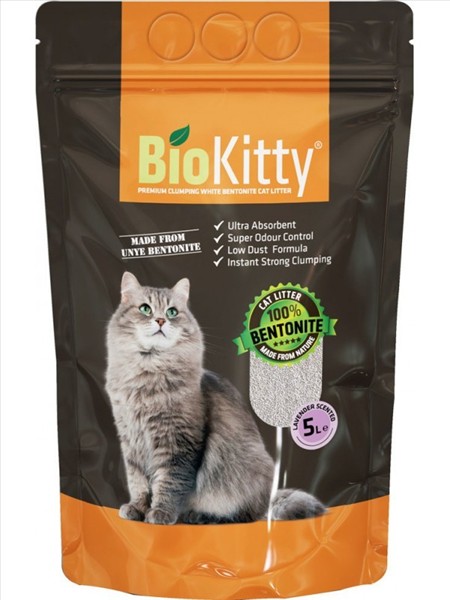 e2fdfdb6-182b-f011-8d1a-bedd89906a57