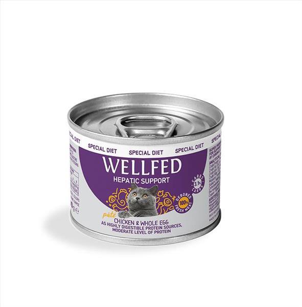 e49c9754-e832-ef11-8e7c-9ca2f4d6356b