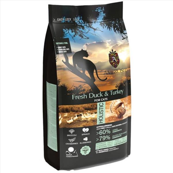 e5e0e297-9b1a-f011-bc94-9ca2f4d6356b