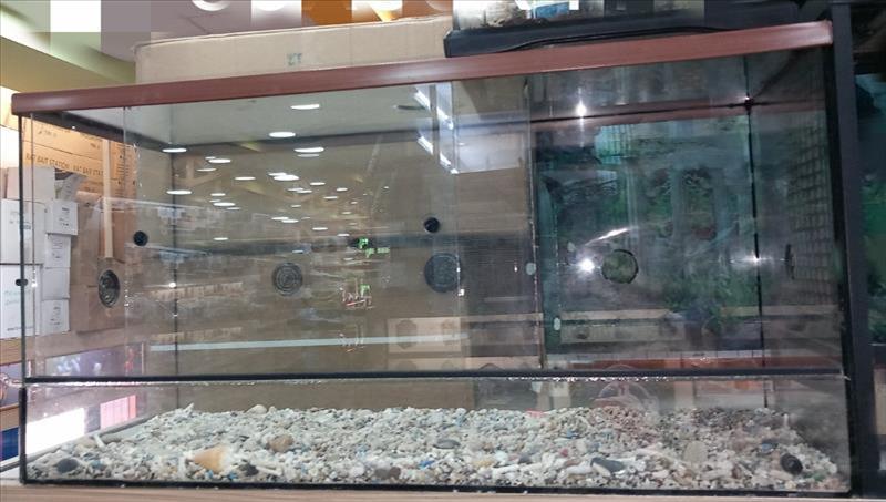 e8a850c1-a875-ef11-8cfd-cea9d976a6bb