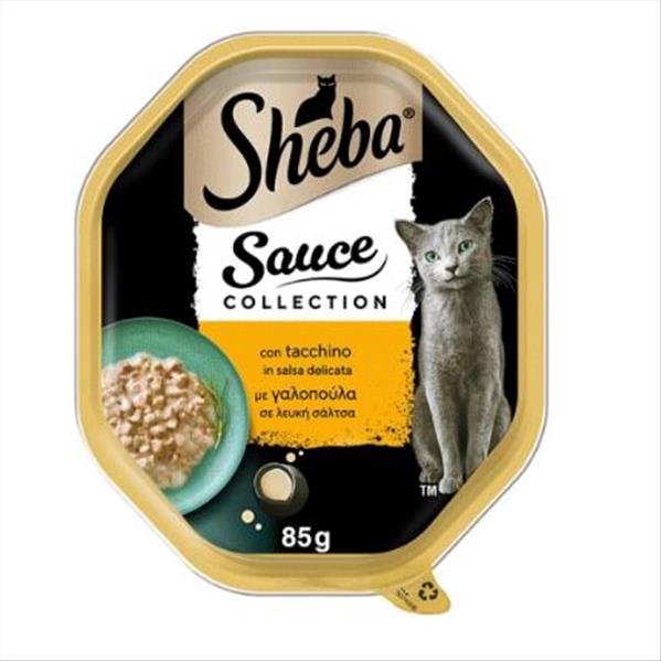 e94a6010-38ed-ef11-ac6b-9ca2f4d6356b