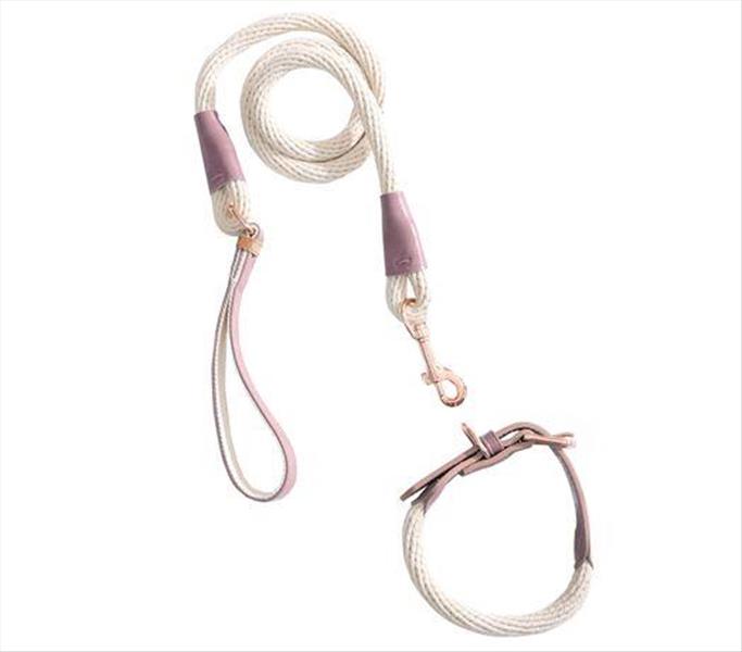 f4073773-606f-ef11-a579-9ca2f4d6356b