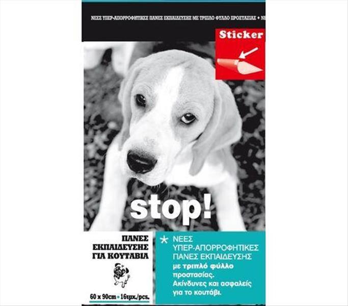 f54e5131-eac4-ee11-8c52-9ca2f4d6356b