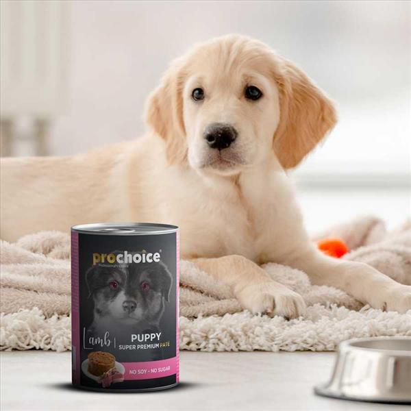 f600e6c9-d87c-ef11-b5d8-9ca2f4d6356b