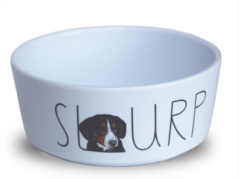 f9b509a7-23f9-ef11-82ee-9ca2f4d6356b