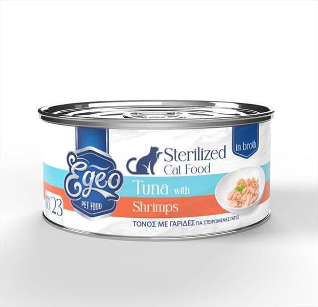 fa42bf45-2f91-ef11-8fc2-9ca2f4d6356b