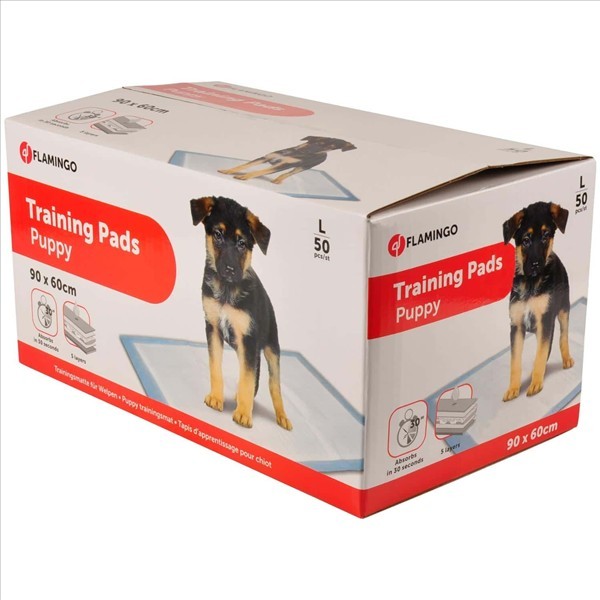 ffc7642c-6f22-f011-8d1a-bedd89906a57